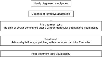 Can Short-Term Ocular Dominance Plasticity Provide a General Index to Visual Plasticity to Personalize Treatment in Amblyopia?